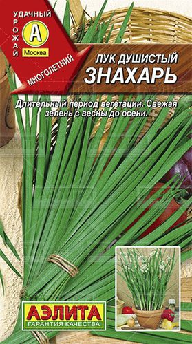 ХИТ!) Лук Знахарь душистый // Аэлита 12 руб. Многолетний ХИТ!) Лук Знахарь душистый // Аэлита 12 руб. Многолетний