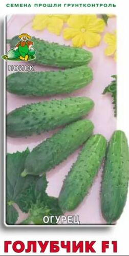 ХИТ!) Огурец Голубчик F1 // Поиск 15 руб. ХИТ!) Огурец Голубчик F1 // Поиск 15 руб.