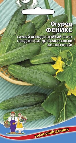 ХИТ!) Огурец Феникс // Уральский Дачник 14 руб. Плодоносит до заморозков ХИТ!) Огурец Феникс // Уральский Дачник 14 руб. Плодоносит до заморозков