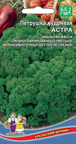 ХИТ!) Петрушка Астра // Уральский Дачник 14 руб. ХИТ!) Петрушка Астра // Уральский Дачник 14 руб.