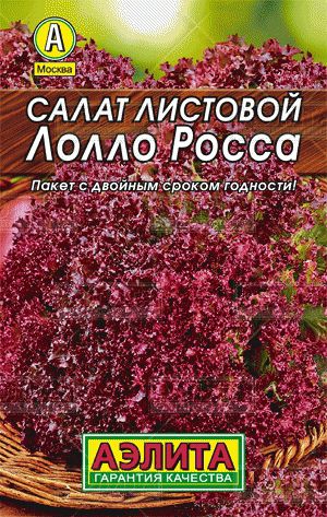 ХИТ!) Салат Лолло Росса / Аэлита 13 руб. ХИТ!) Салат Лолло Росса / Аэлита 13 руб.