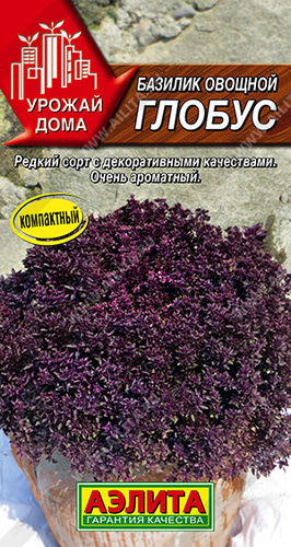 ХИТ!) Базилик Глобус // Аэлита 15 руб. Можно выраивать в комнатных условиях ХИТ!) Базилик Глобус // Аэлита 15 руб. Можно выраивать в комнатных условиях