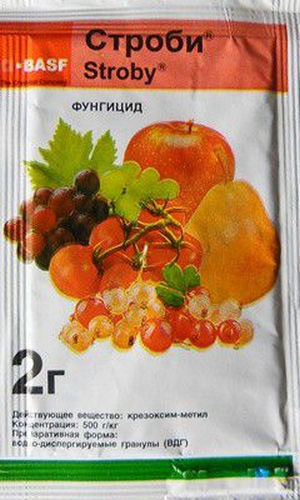 ХИТ!) Строби 30 руб. ХИТ!) Строби 30 руб.