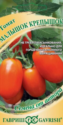 ХИТ!) Томат Малышок крепышок // Гавриш 12 руб. Подходит для выраивания в комнатных условиях ХИТ!) Томат Малышок крепышок // Гавриш 12 руб. Подходит для выраивания в комнатных условиях