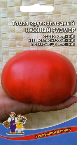 ХИТ!) Томат Нужный Размер - крупноплодный // Уральский Дачник 15 руб. Невероятно урожайный ХИТ!) Томат Нужный Размер - крупноплодный // Уральский Дачник 15 руб. Невероятно урожайный