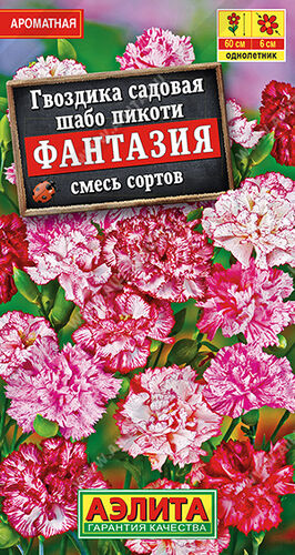ХИТ!) Гвоздика садовая шабо пикоти Фантазия, смесь // Аэлита ХИТ!) Гвоздика садовая шабо пикоти Фантазия, смесь // Аэлита
