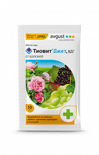 ХИТ!) Тиовит Джет 30г / от болезней на дек-плодовых 41 руб. ХИТ!) Тиовит Джет 30г / от болезней на дек-плодовых 41 руб.