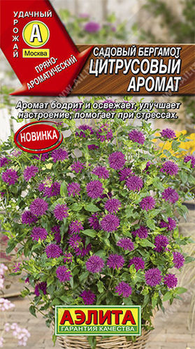 ХИТ!) Садовый бергамот Цитрусовый аромат // Аэлита 15 руб. Бодрит и освежает, улучшает настроение, помогает при стрессах ХИТ!) Садовый бергамот Цитрусовый аромат // Аэлита 15 руб. Бодрит и освежает, улучшает настроение, помогает при стрессах