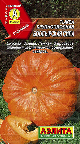 ХИТ!) Тыква Богатырская сила // Аэлита 15 руб. М.б. до 15 кг ХИТ!) Тыква Богатырская сила // Аэлита 15 руб. М.б. до 15 кг