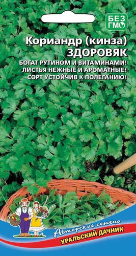 ХИТ!) Кориандр (кинза) Здоровяк // Уральский Дачник 14 руб. ХИТ!) Кориандр (кинза) Здоровяк // Уральский Дачник 14 руб.
