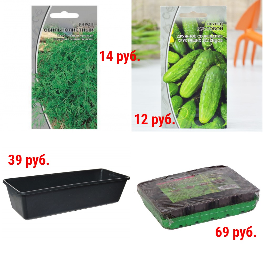 Семена от 6 руб. + Новинки. Ящики, горшки и пакеты для рассады, торфяные таблетки и горшки, поддоны Семена от 6 руб. + Новинки. Ящики, горшки и пакеты для рассады, торфяные таблетки и горшки, поддоны