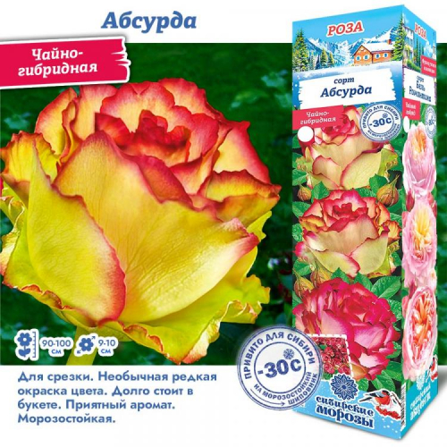 РОЗЫ, морозостойкие до -30 РОЗЫ, морозостойкие до -30