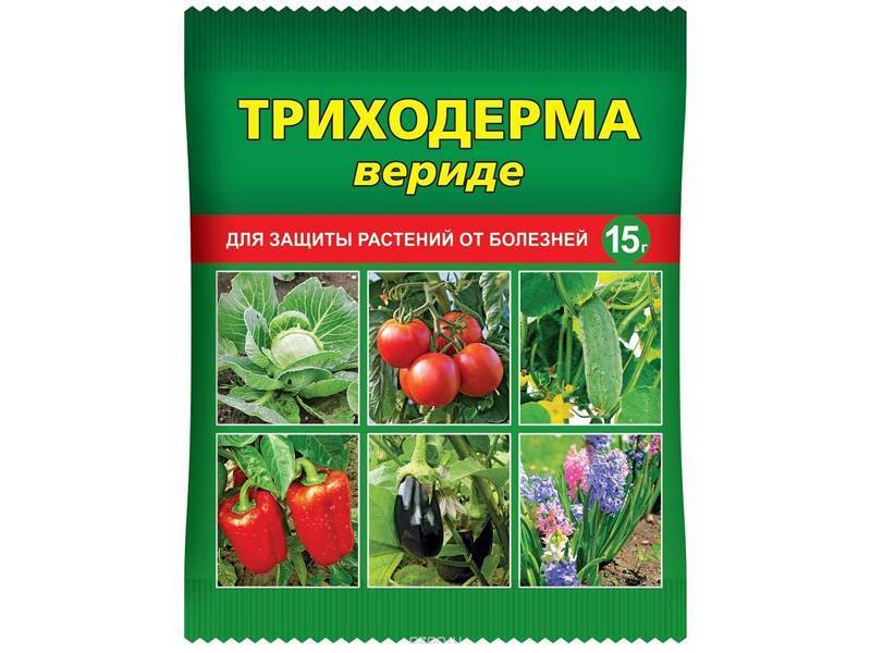ХИТ!) Триходерма вериде (биофунгицид от болезней растений) 24 руб. В его основе - дружественные культурным растениям микроскопические грибы, подавляющие более 60 видов(!) болезнетворных микробов. Защищает от корневых и плодовых гнилей, черной но ХИТ!) Триходерма вериде (биофунгицид от болезней растений) 24 руб. В его основе - дружественные культурным растениям микроскопические грибы, подавляющие более 60 видов(!) болезнетворных микробов. Защищает от корневых и плодовых гнилей, черной но