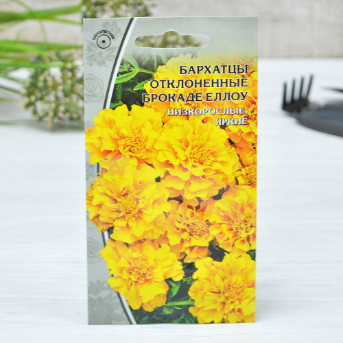 ХИТ!) БАРХАТЦЫ Брокаде Еллоу отклоненные 16 руб. Подходят для цветника, садовых кашпо и балкона, долго сохраняет свежесть в срезанном виде ХИТ!) БАРХАТЦЫ Брокаде Еллоу отклоненные 16 руб. Подходят для цветника, садовых кашпо и балкона, долго сохраняет свежесть в срезанном виде