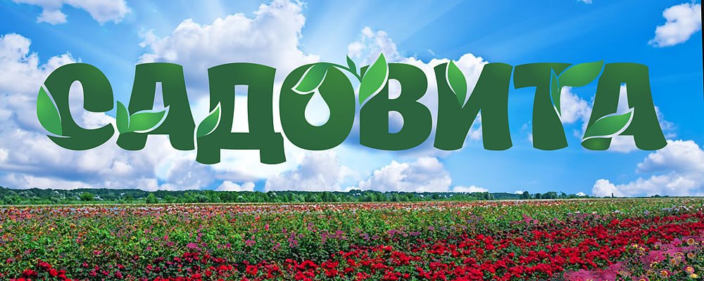 Сбор заказов. Луковичные Садовита Осень 2026. Сбор заказов. Луковичные Садовита Осень 2026.