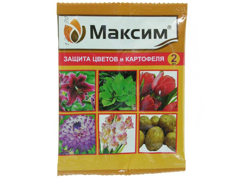ХИТ!) Максим (протравитель луковичных) 16 руб. Защищает растения от болезней в течение всего периода роста и хранения ХИТ!) Максим (протравитель луковичных) 16 руб. Защищает растения от болезней в течение всего периода роста и хранения