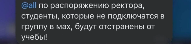 Источник: Vdk_tiger_vladivostok25 / T.me