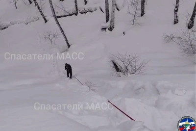 Rescuers save man stuck in ravine after forest walk