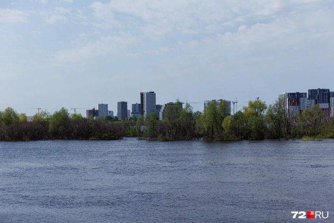 Спокойная водная гладь и совсем еще свежие позеленевшие листья деревьев. Такой май в Тюмени | Источник: Ирина Шарова / 72.RU