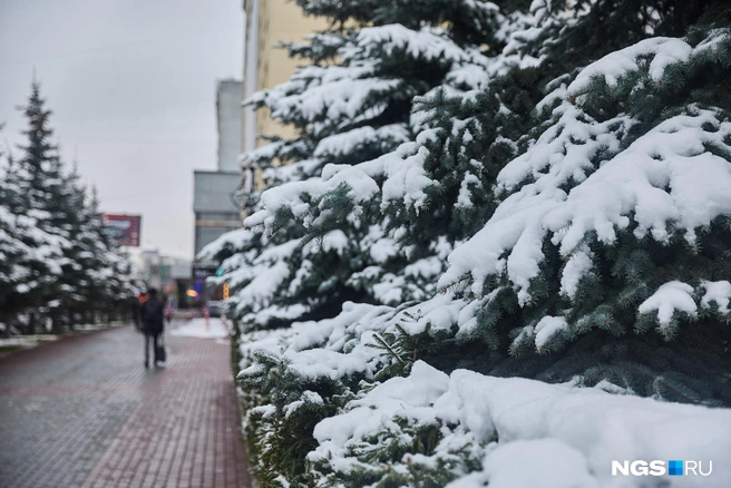 В некоторых местах появился гололед | Источник: Александр Ощепков / NGS.RU