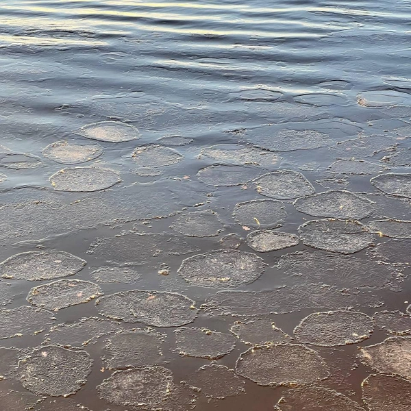 Источник: читатель «Фонтанки» Алина