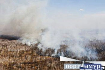 В Амурской области тушат 12 лесных пожаров