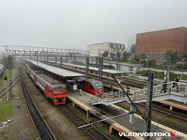 На сигналы человек не реагировал | Источник: Алиса Князева / VLADIVOSTOK1.RU