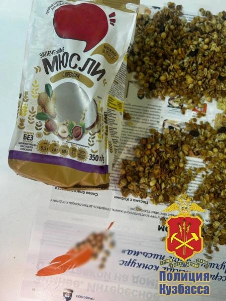 Источник: www.city-n.ru