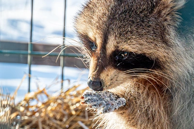 В Иркутске на выходных ожидается снег и ветер