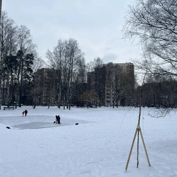 Источник: Комитет по благоустройству Петербурга