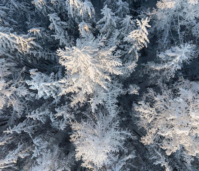 Источник: Татьяна Борисова / Vk.com