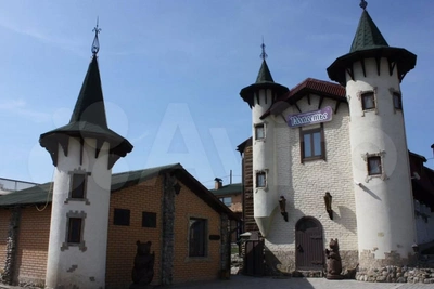 В Белокурихе продают гостиницу в виде средневекового замка