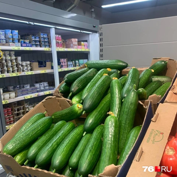За килограмм огурцов просят 79 рублей | Источник: Алёна Троицкая / 76.RU