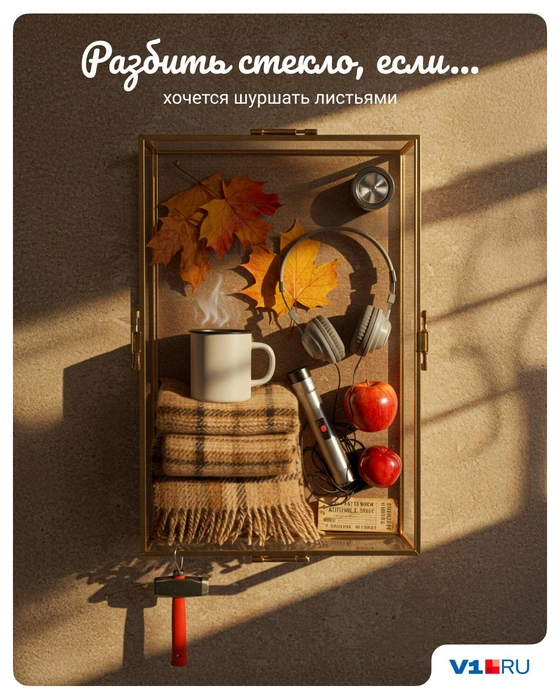 Признайтесь, услышали уже этот шелест? | Источник: Полина Авдошина / V1.RU