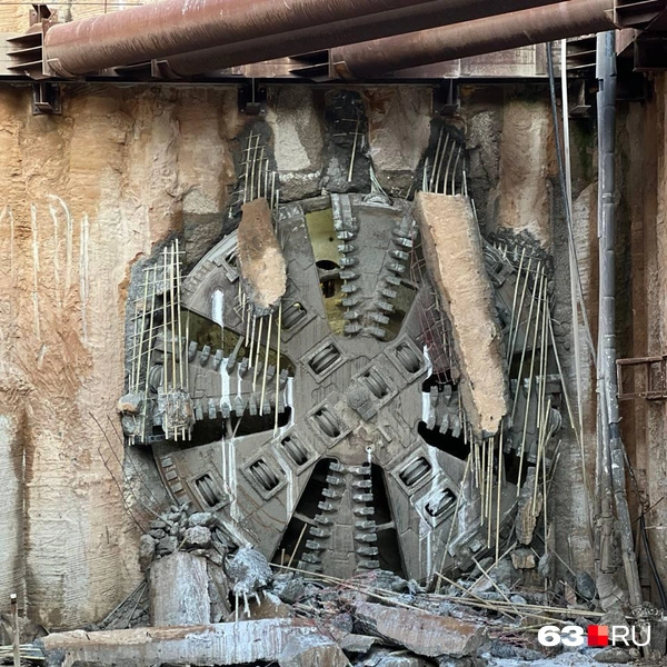 Источник: Александра Шувалова / 63.RU