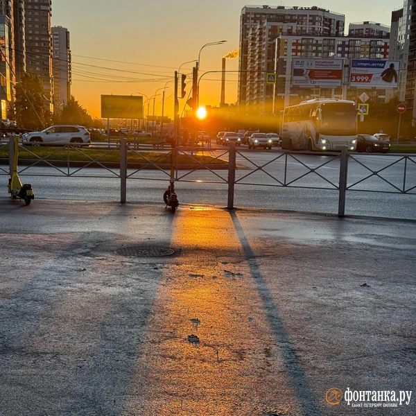 Источник: Марина Мамонтова / «Фонтанка.ру»