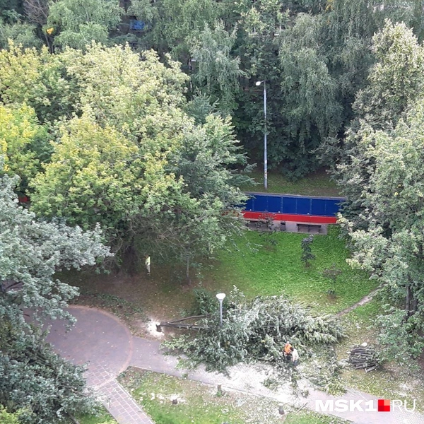 Источник: предоставлено MSK1.RU местными жителями