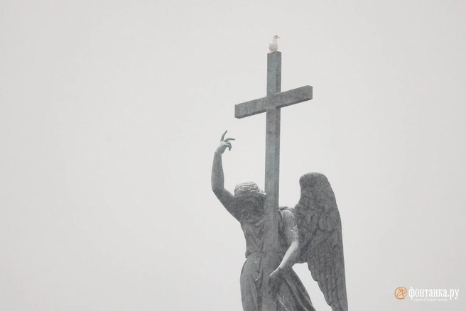 Источник: Сергей Михайличенко / «Фонтанка.ру»