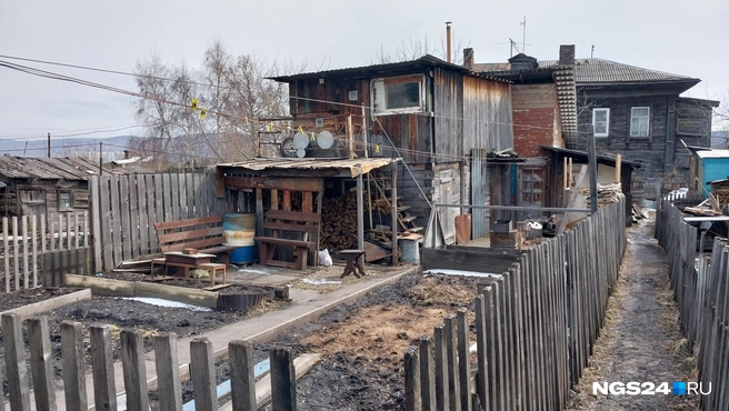 Огород позволяет выращивать, а не покупать овощи | Источник: Мария Антюшева / NGS24.RU