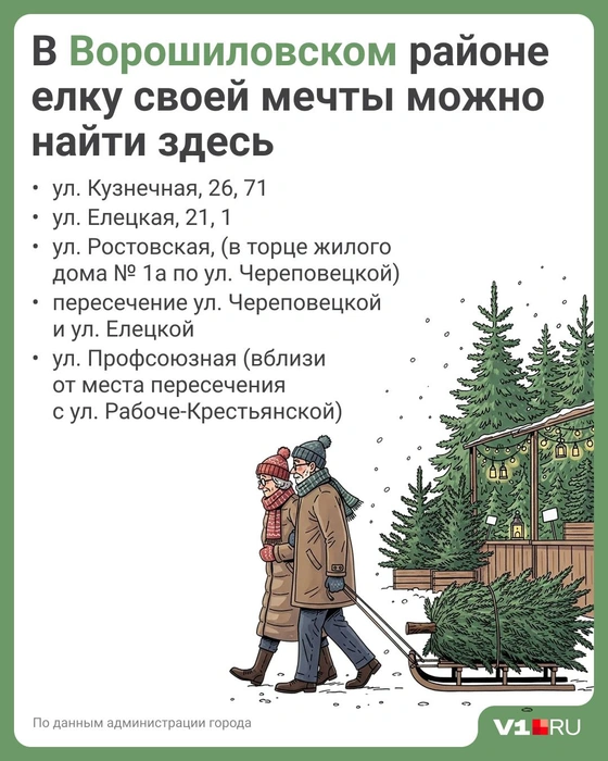 Источник: Полина Авдошина