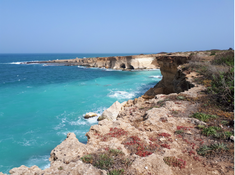 Неизвестная Сицилия: 5 разных островов в одном | marieclaire.ru