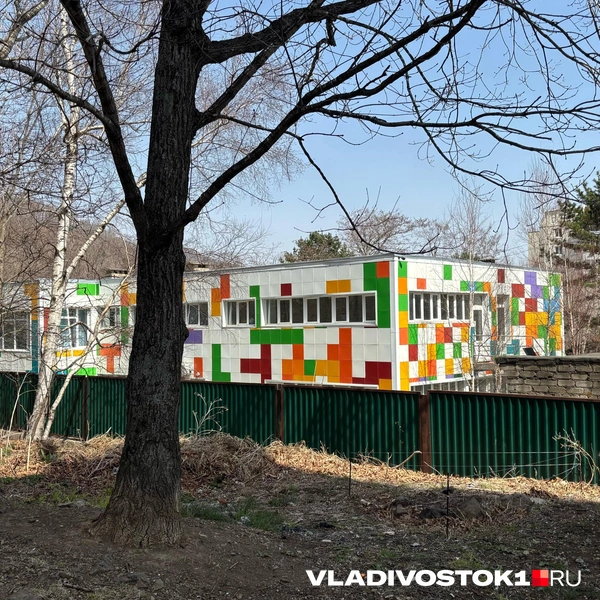 Источник: Елена Буйвол / VLADIVOSTOK1.RU