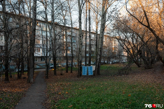 Местные жители сушат белье во дворе | Источник: Александр Куренной / 76.RU