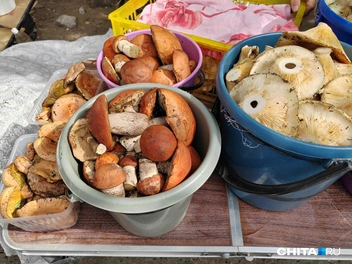 В средних ведерках — подосиновики | Источник: Дарья Кливенкова / CHITA.RU