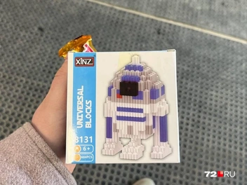 Узнали R2D2 из «Звездных войн»? | Источник: Анатолий Кузнецов / 72.RU