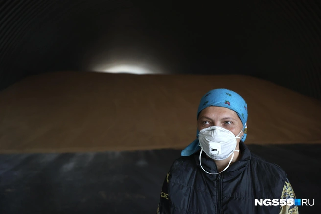 Труд в сельском хозяйстве нелегок  | Источник: Евгений Софийчук / NGS55.RU 