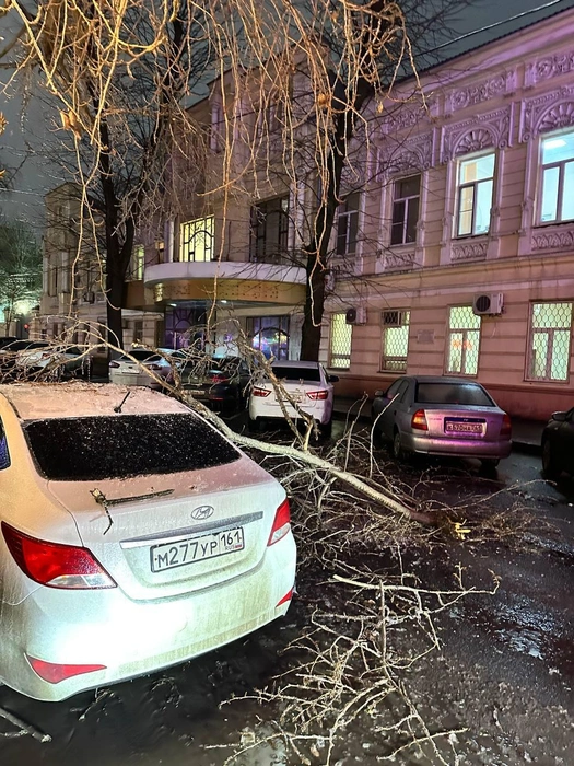 Источник: читатель 161.RU