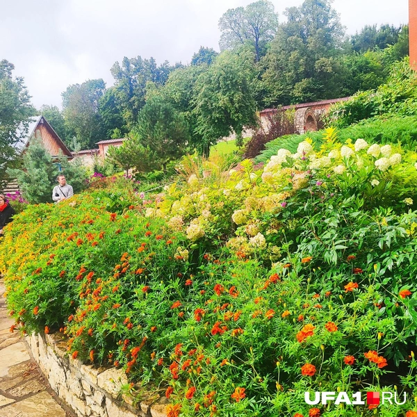 Цветники | Источник: Марина Каримова / UFA1.RU