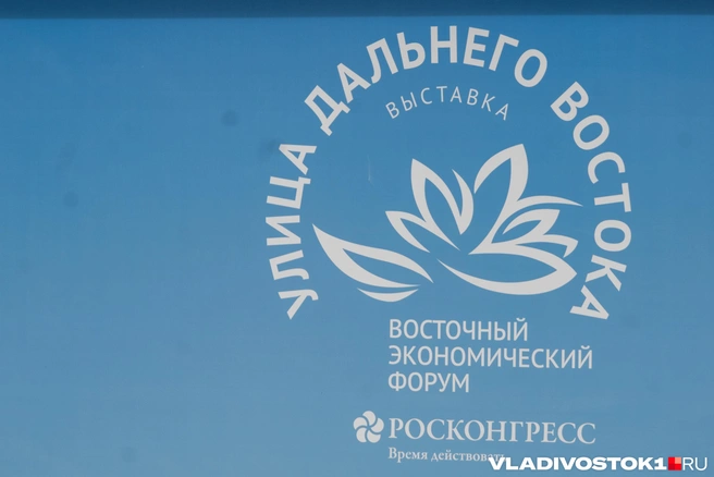 Владимир Путин дал старт работе шести предприятий в Приморье во время ВЭФ-2026 | Источник: Елена Буйвол / VLADIVOSTOK1.RU