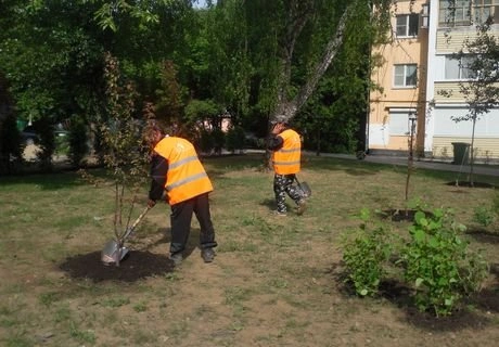 На благоустройство Рязани направят более 500 млн | ya62.ru